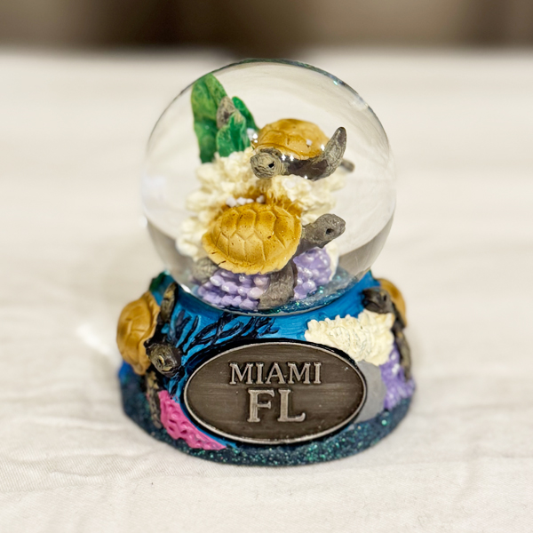 マイアミのスノードーム